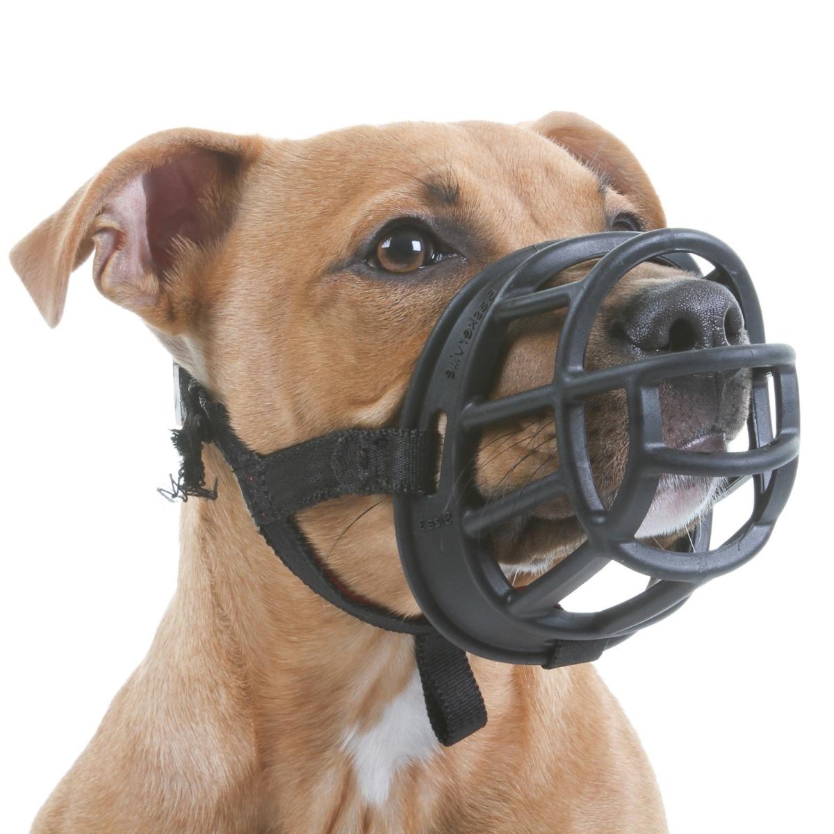 ¿Dejar al perro solo en casa con bozal es bueno?