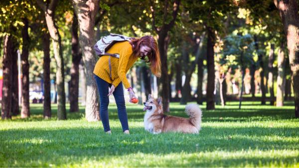 La normativa de Madrid que muchos no conocen: dónde y cuándo puedes soltar a tu perro sin que te multen - Muchos cuidadores de perros en Madrid desconocen cuándo y dónde pueden soltarlos