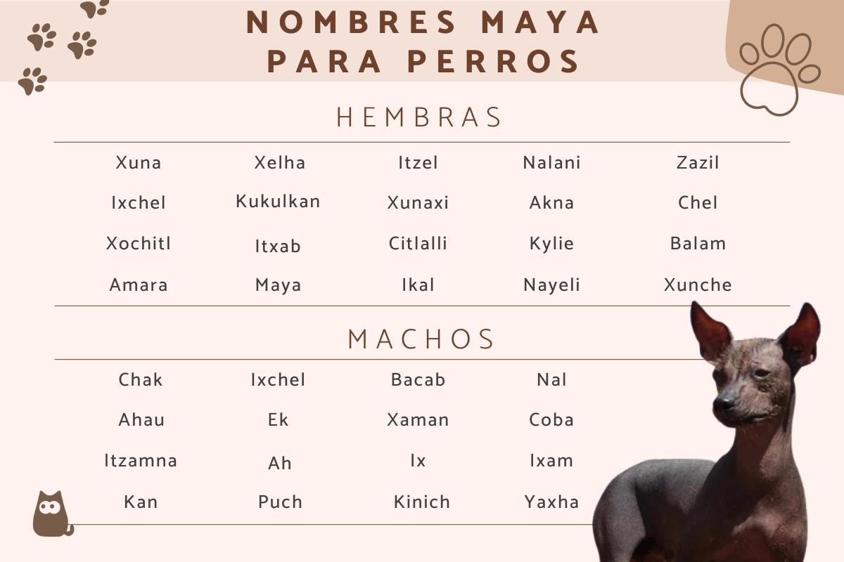 Nombres mayas para perros
