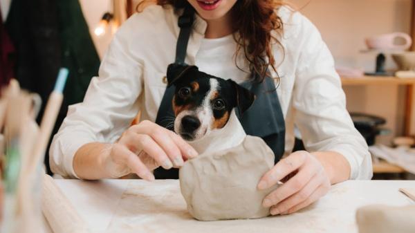 Del parque al gimnasio: crece la tendencia pet friendly en España y cada vez más negocios permiten llevar a tu perro contigo - El reto de la convivencia: educación y civismo en espacios compartidos