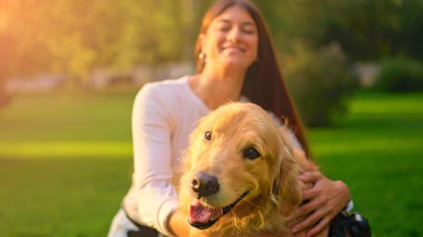 Los perros y los humanos compartimos genes ligados a las emociones, según un estudio genético en golden retrievers - Los perros sienten emociones muy similares a las nuestras
