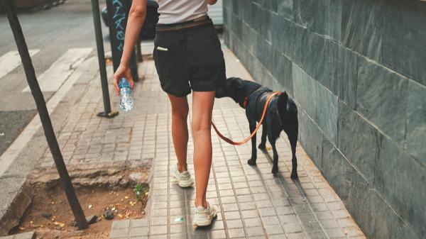 Multas de hasta 500 euros por no limpiar el pis de tu perro: la polémica nueva medida en Italia que ya se aplica en ciudades españolas - ¿Es obligatorio llevar agua para limpiar el pis del perro en España?