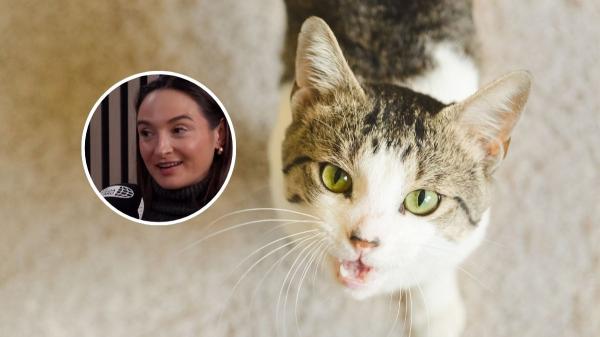 Claudia, dueña de una empresa de productos para mascotas: “Los gatos reaccionan a los tonos agudos y eso fortalece nuestra conexión con ellos”