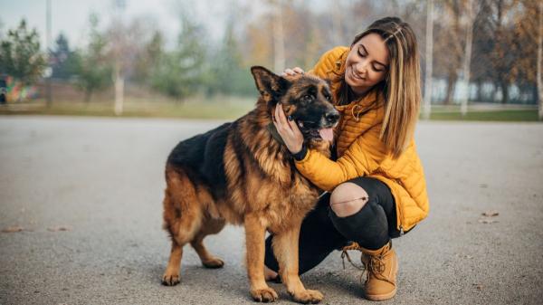 La psicología lo tiene claro: las personas que prefieren los perros suelen compartir estos rasgos de personalidad - El rasgo social que aparece con más frecuencia entre las personas que prefieren los perros