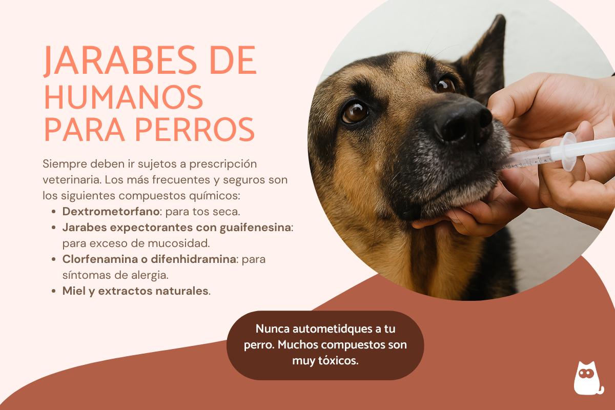 ¿Es seguro el jarabe de humanos para perros?