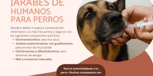 ¿Es seguro el jarabe de humanos para perros?