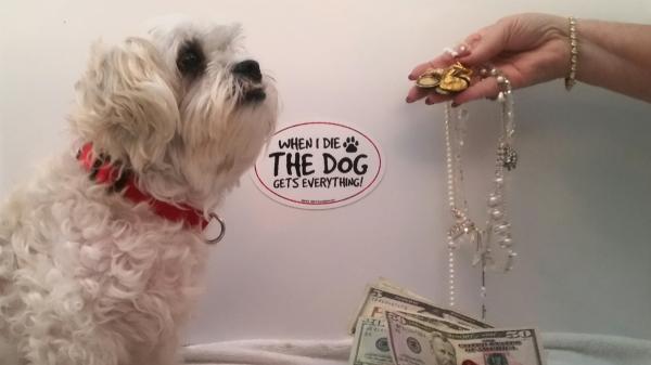 ¿Se puede dejar una herencia a un perro en España? Lo que dice la ley y qué sí es posible - El curioso caso de los “perros millonarios” en otros países