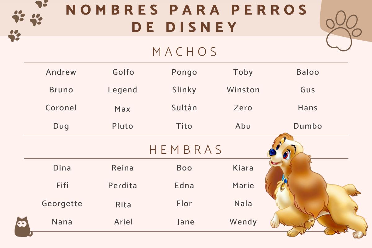 Nombres de personajes de Disney para perros