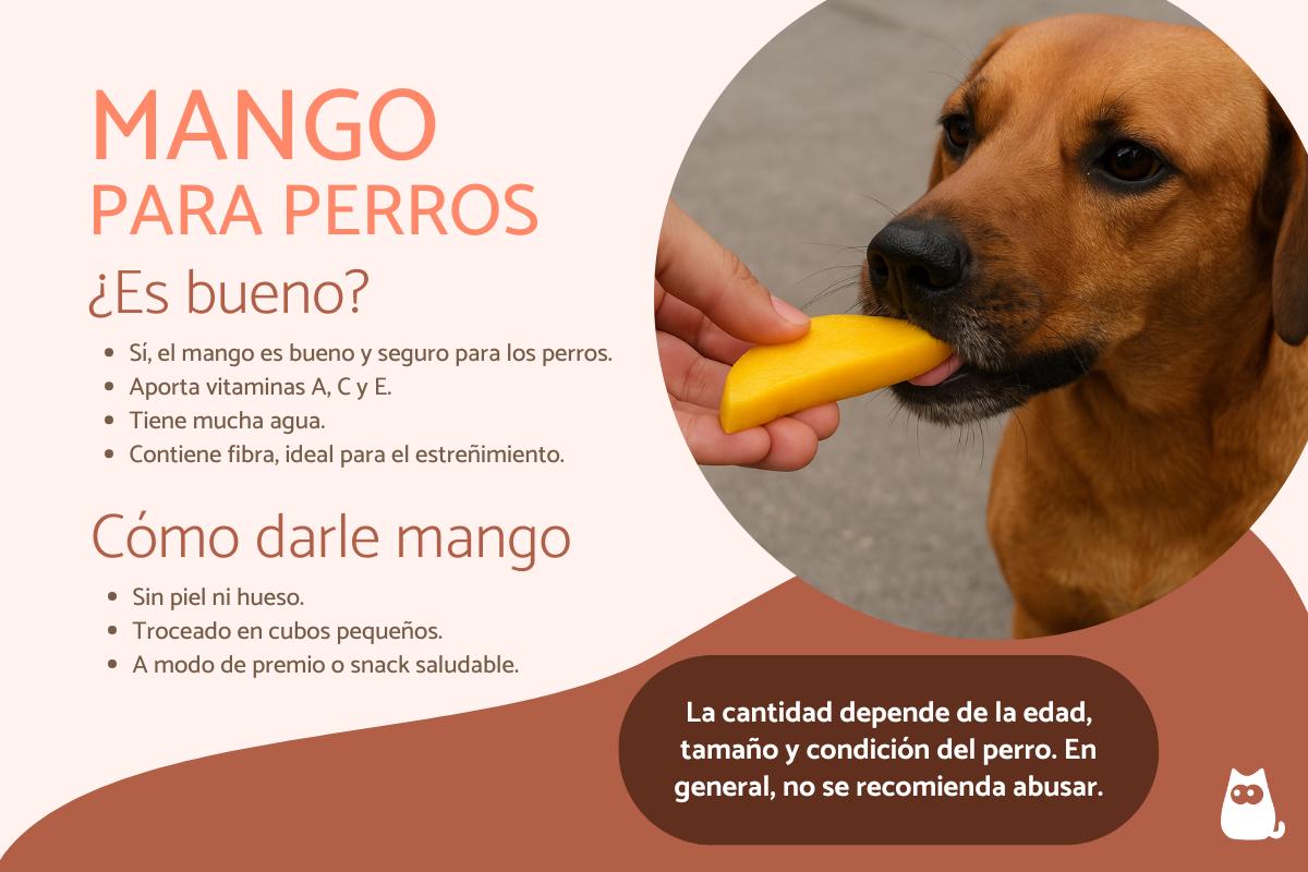 ¿Los perros pueden comer mango?
