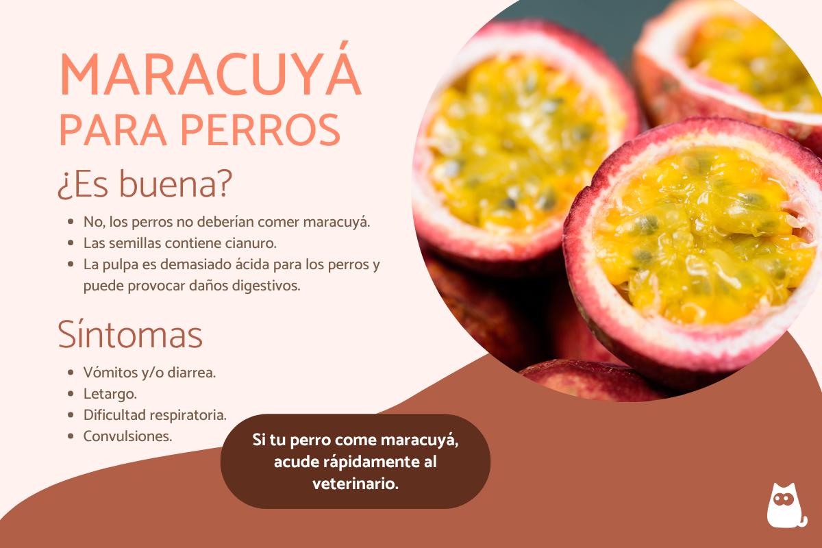 ¿Los perros pueden comer maracuyá?
