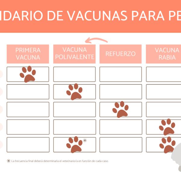 con qué frecuencia un perro necesita un refuerzo de parvo