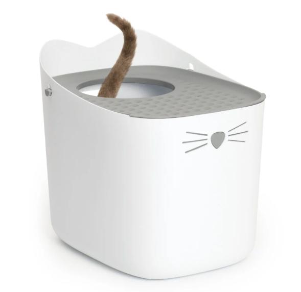 ¿Cómo enseñar a un gato a usar el arenero? - ¿Qué tener en cuenta antes de enseñar a un gato a usar el arenero?