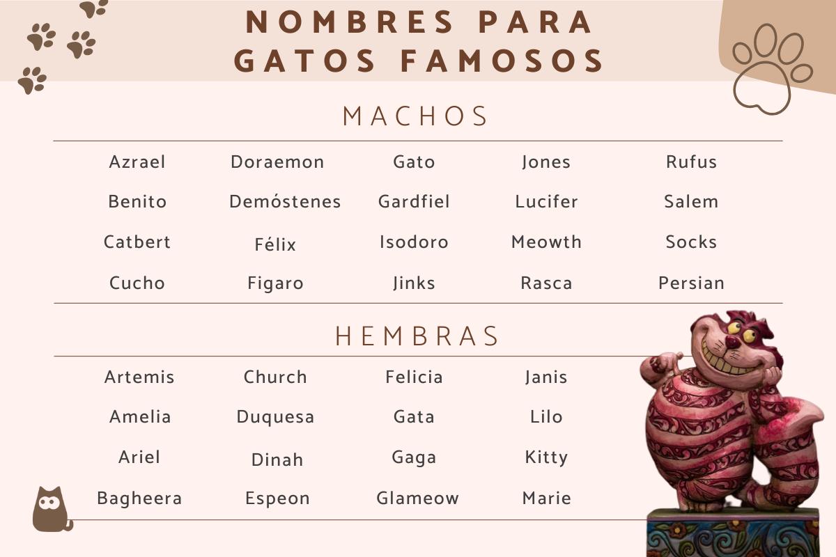 Nombres de gatos famosos