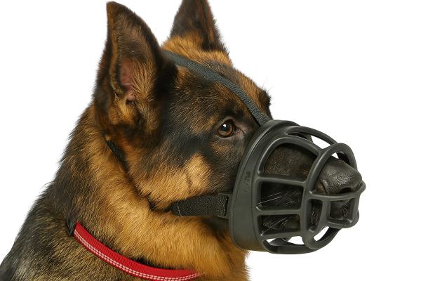 ¿El pastor alemán tiene que llevar bozal? - Tipos de bozales para pastor alemán y cuál elegir 