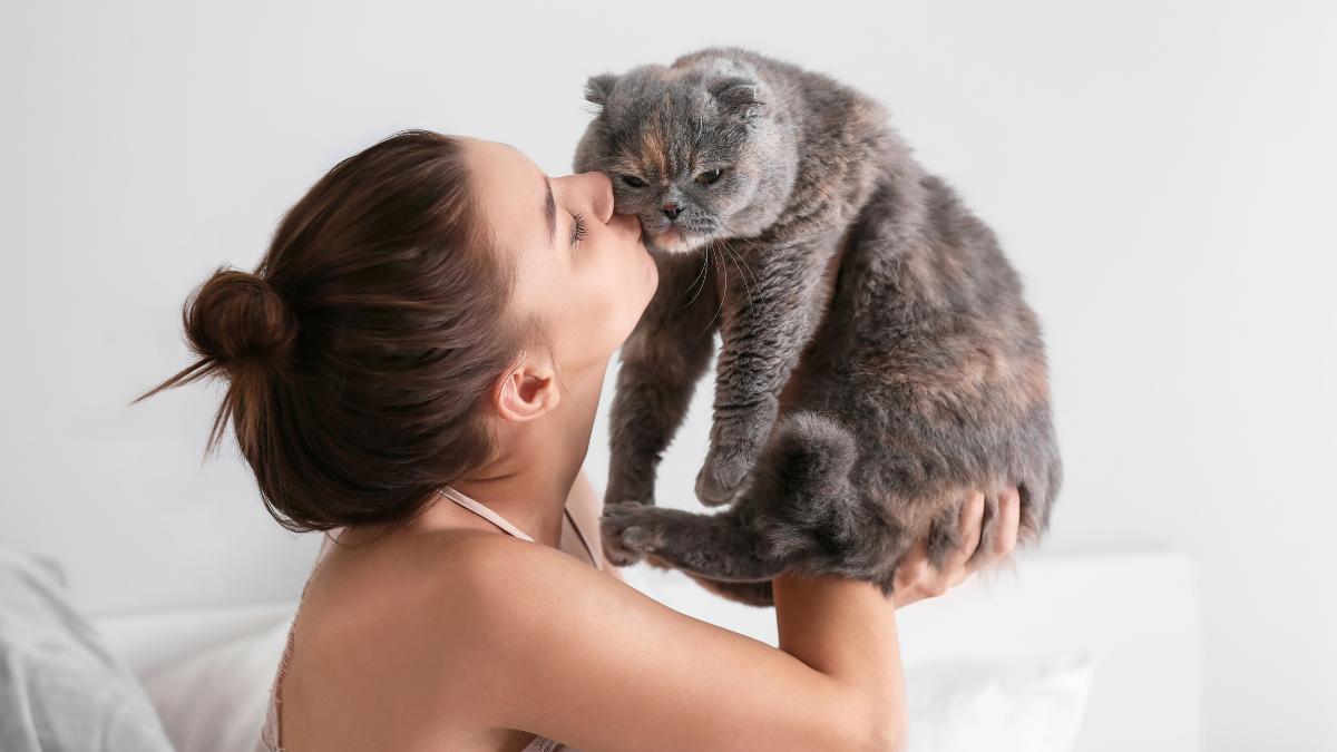 Soy etóloga felina y te revelo cuánto tarda un gato en olvidar a su dueño: "Aunque no existe un plazo exacto, algunos pueden recordarlo durante toda la vida, incluso tras años sin verlo"