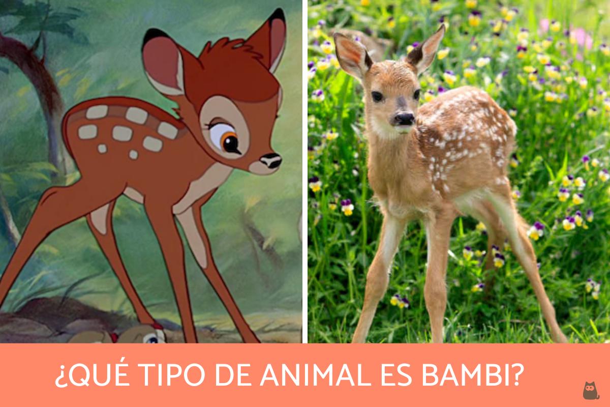 ¿Qué animal es Bambi?