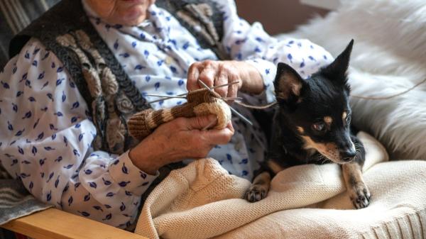 Un estudio revela que los perros ayudan a ralentizar el deterioro en personas con demencia - El vínculo es más importante que la raza