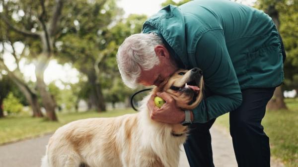 Un estudio revela que los perros ayudan a ralentizar el deterioro en personas con demencia - Los beneficios clave de vivir con perros si se padece demencia