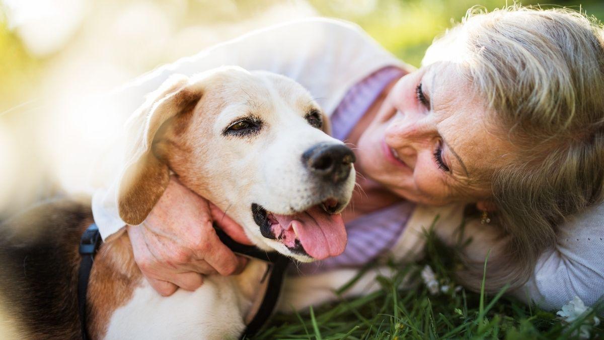 Un estudio revela que los perros ayudan a ralentizar el deterioro en personas con demencia