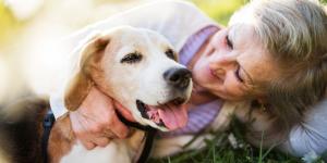 Un estudio revela que los perros ayudan a ralentizar el deterioro en personas con demencia
