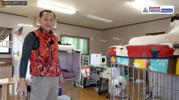 Fukushima y los animales olvidados: la historia real de quienes siguen cuidándolos quince años después del desastre - Toru Akama, un héroe silencioso en Fukushima