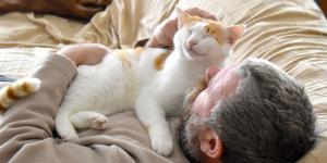 Laura García, veterinaria: “Si tu gato duerme sobre ti, está diciéndote sin palabras que se siente completamente a salvo”