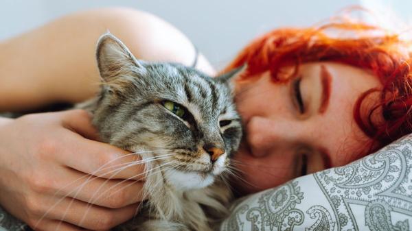 Laura García, veterinaria: “Si tu gato duerme sobre ti, está diciéndote sin palabras que se siente completamente a salvo” - ¿Vives con más de un gato? Te puede estar reclamando como “suyo”