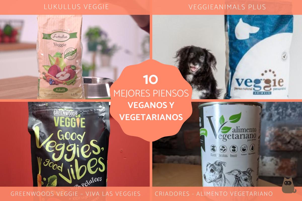 Los mejores piensos veganos y vegetarianos para perros