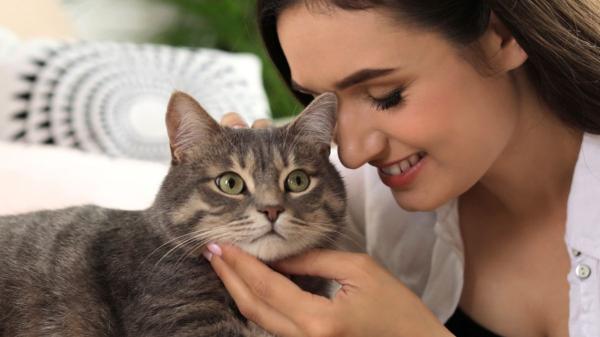 Emiliano Linardi, experto en comportamiento felino: “Los gatos no eligen como persona favorita a la que más se esfuerza, sino a la que respeta sus límites y le transmite seguridad”