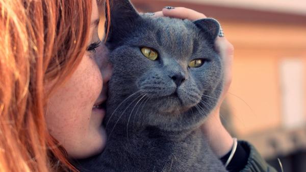 Emiliano Linardi, experto en comportamiento felino: “Los gatos no eligen como persona favorita a la que más se esfuerza, sino a la que respeta sus límites y le transmite seguridad” - Estas son las señales que indican que tu gato te ha elegido, según los expertos