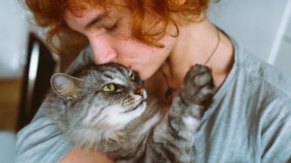 Emiliano Linardi, experto en comportamiento felino: “Los gatos no eligen como persona favorita a la que más se esfuerza, sino a la que respeta sus límites y le transmite seguridad” - Insistir demasiado puede alejar al gato en lugar de acercarlo