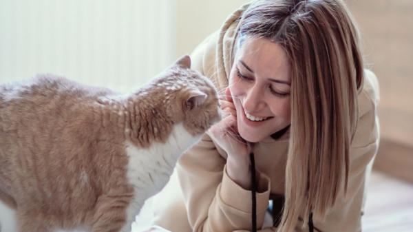 Emiliano Linardi, experto en comportamiento felino: “Los gatos no eligen como persona favorita a la que más se esfuerza, sino a la que respeta sus límites y le transmite seguridad” - Los gatos necesitan personas que lo cuiden sin invadir su espacio