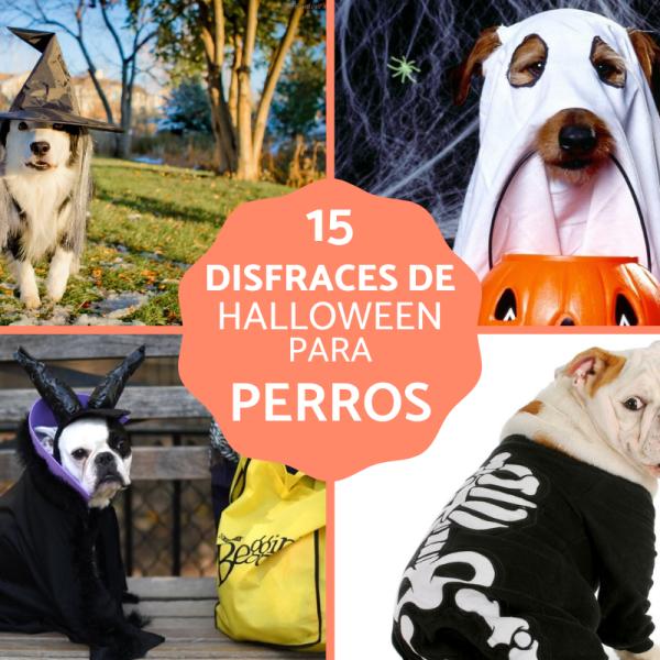 Rubie's Disfraz Para Perro E.T