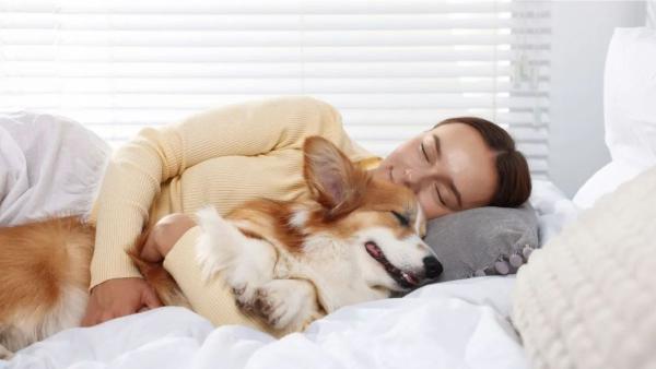 Veterinarios y científicos coinciden: la música que pongas en casa puede reducir el estrés de tu perro o tu gato - Qué música relaja más a los perros, según veterinarios y estudios científicos