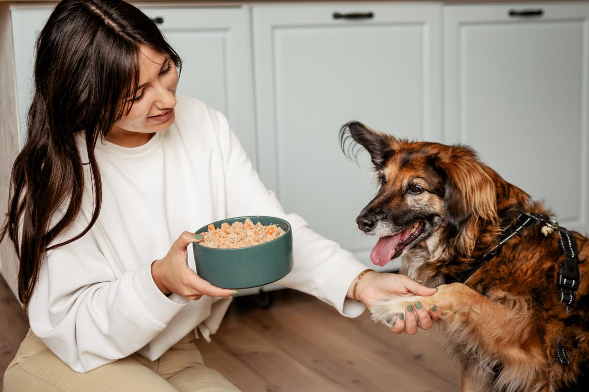 Los beneficios de darle a tu perro comida cocinada