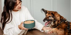 Los beneficios de darle a tu perro comida cocinada