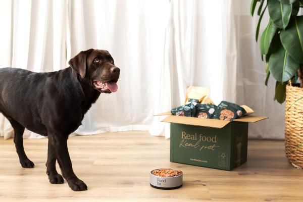 Los beneficios de darle a tu perro comida cocinada - Seguridad alimentaria en la comida casera para perros