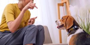 Juan Manuel Liquindoli, educador canino: “Los perros no aprenden solo con un ‘no’, primero hay que enseñarles la alternativa”