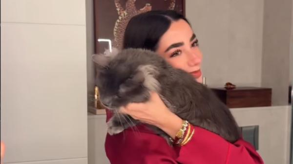 Milu ya tiene familia: el cachorro adoptado por Lola Lolita empieza una nueva vida - Lola Lolita y su conexión con los animales: “Soy muy amante de los animales”