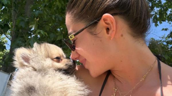 Milu ya tiene familia: el cachorro adoptado por Lola Lolita empieza una nueva vida - Milu, el nuevo compañero de Lola Lolita