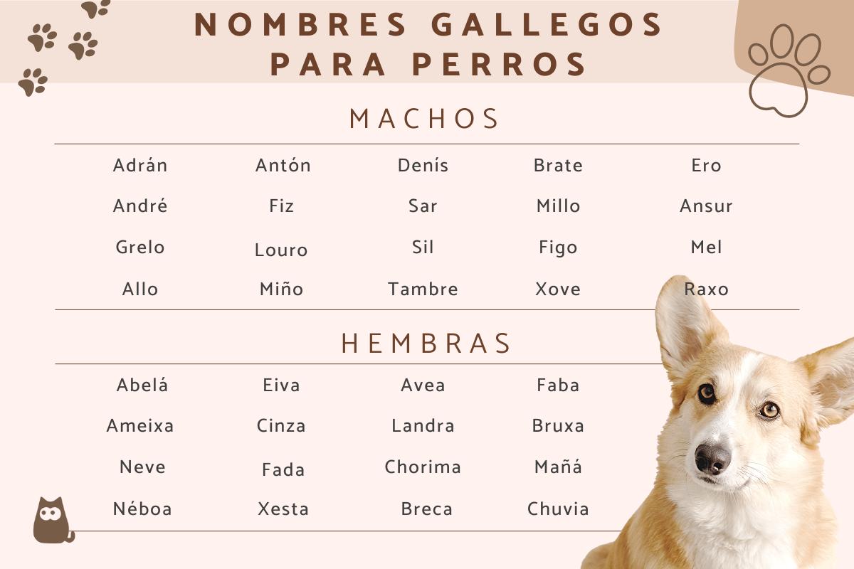 Nombres para perros en gallego