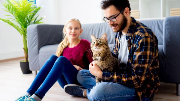 Un refugio japonés convierte la adopción de gatos en un gesto viral: la huella de su pata en el contrato - Por qué adoptar un gato debe ser una decisión pensada y no un impulso