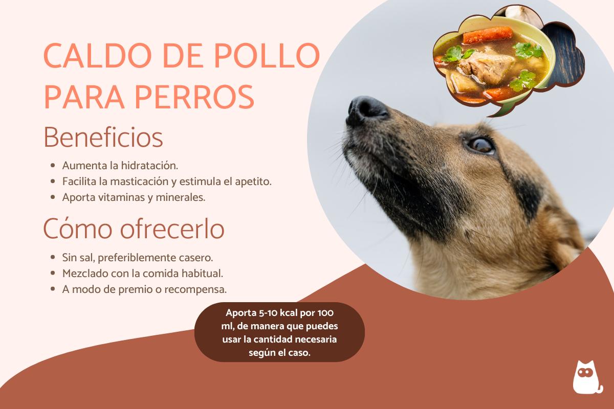 ¿El caldo de pollo para perros es bueno?