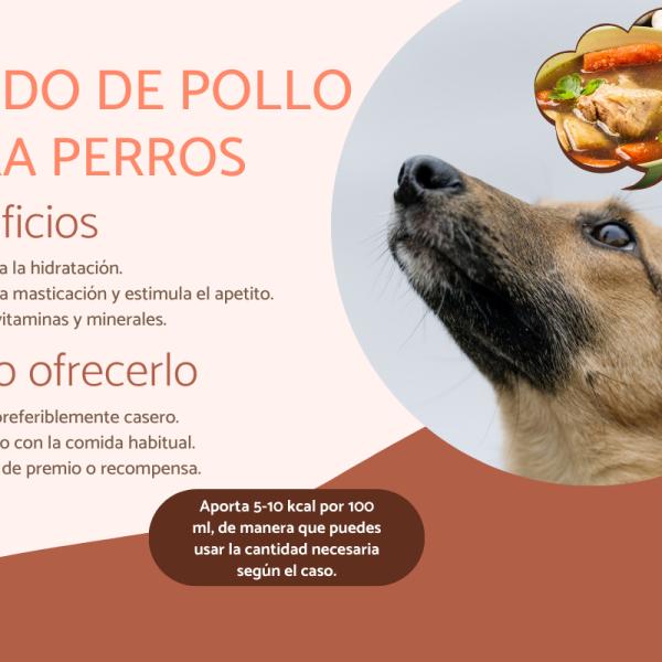 a los perros les gusta beber agua tibia