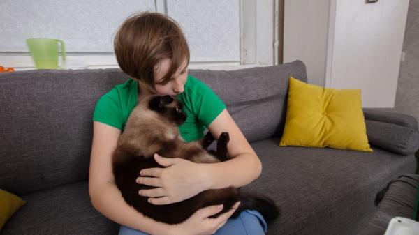 Noelia Hernández, educadora felina: “Incluso un fin de semana, los gatos deben estar supervisados”