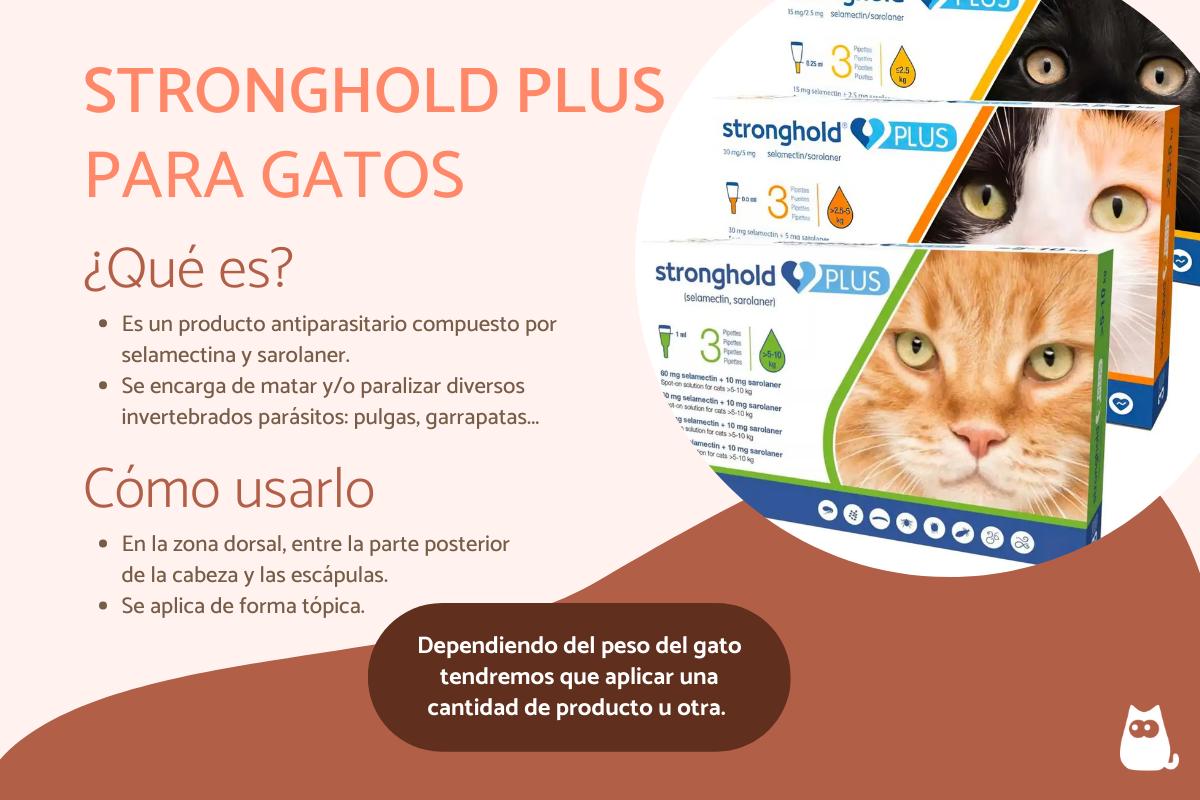Stronghold plus para gatos - Qué es y cómo poner