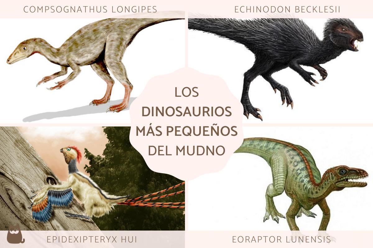 Los dinosaurios más pequeños del mundo