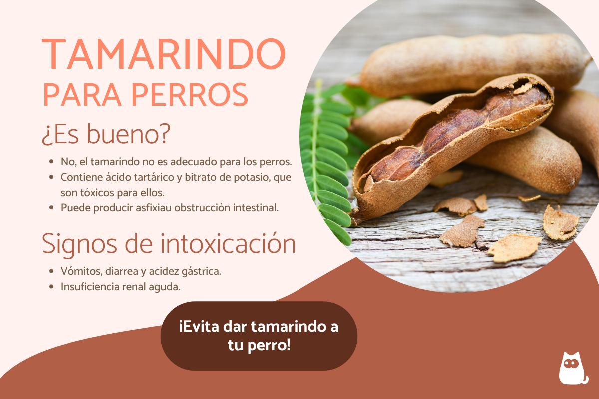 ¿Los perros pueden comer tamarindo?