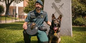 Liva, la perra que detecta dinero, recibe el premio a “Mejor perra operativa”: así trabaja una de las estrellas de la Guardia Civil