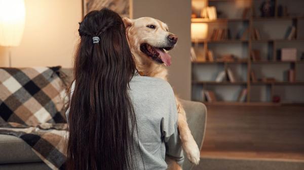 Los psicólogos coinciden: las personas que saludan y acarician a su perro antes de salir y al llegar a casa tienen esta personalidad - La psicología relaciona el vínculo con los perros con una mayor inteligencia emocional